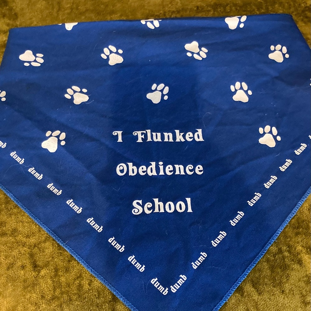 Blue Dog Bandana with Paw Prints